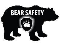 bear-safety-in-eagle-county-colorado
