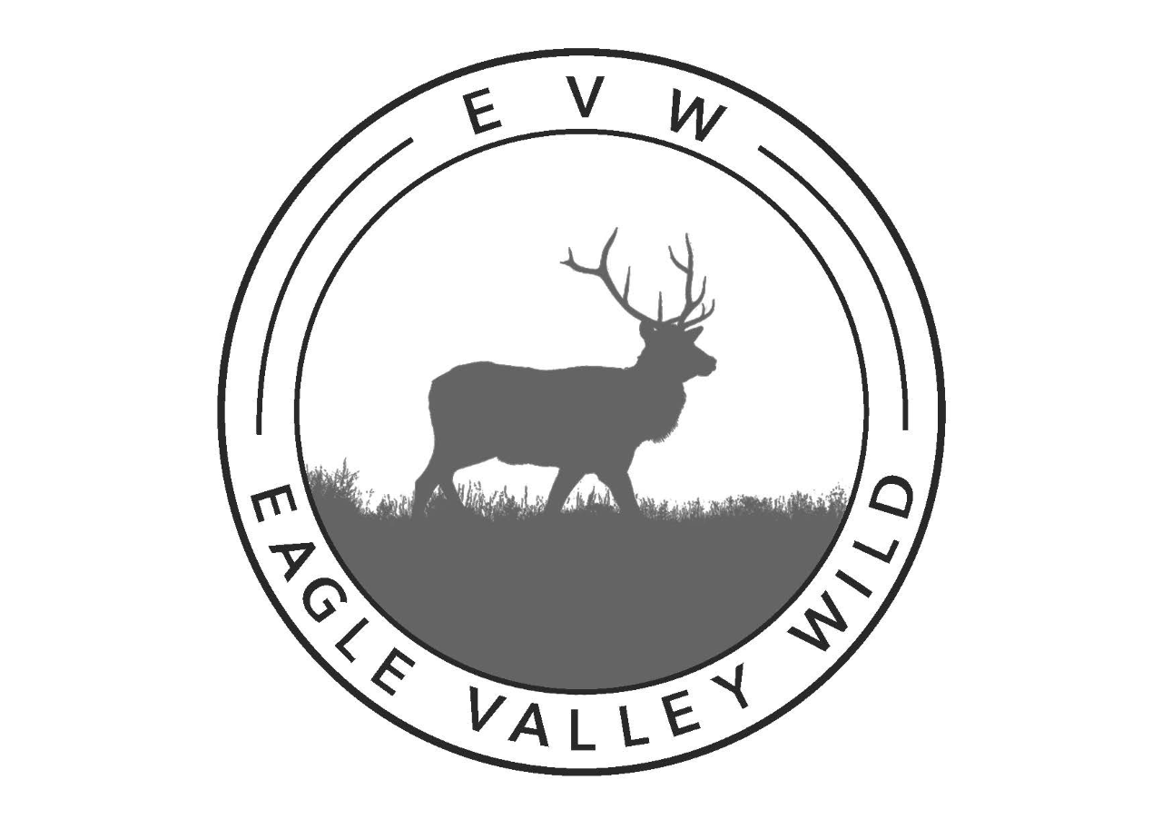 Eagle Valley Wild