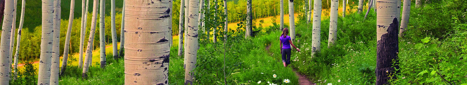 vail-hiking-banner